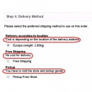 Shipping Delivery method descriptions in Checkout